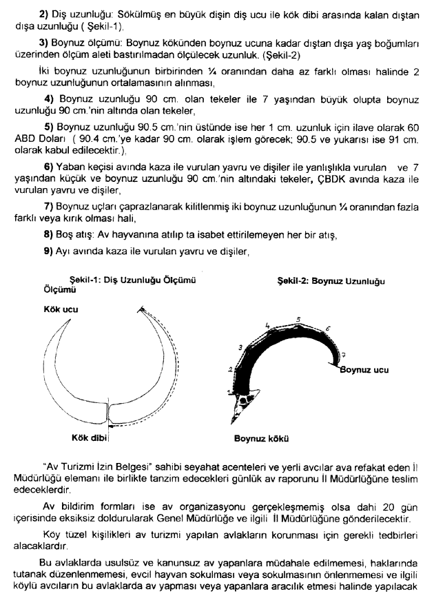 20030617-195.gif (44070 bytes)