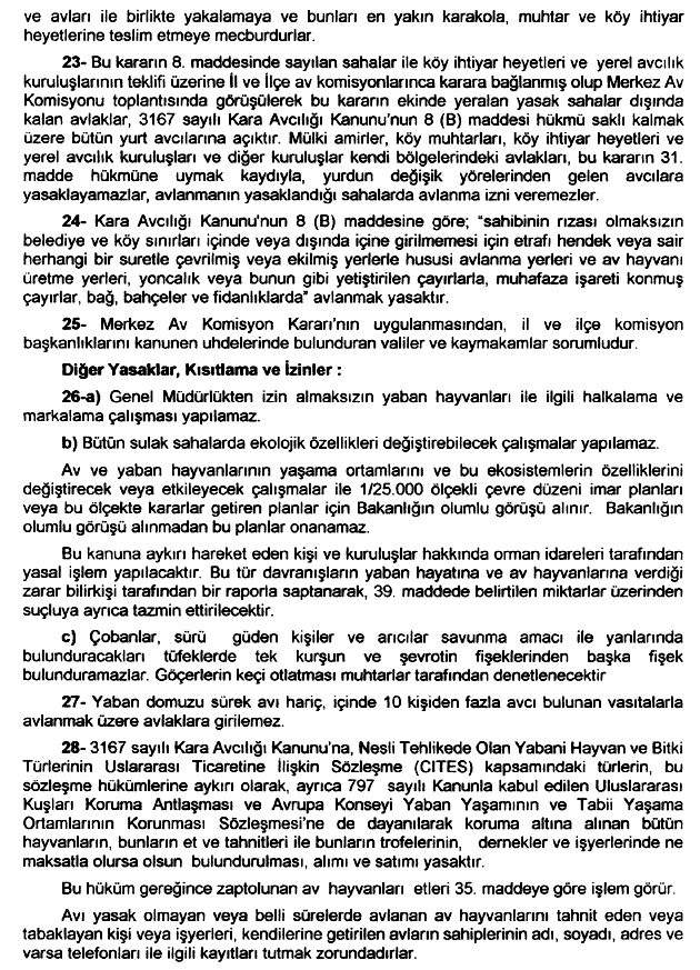 20030617-199.gif (70058 bytes)