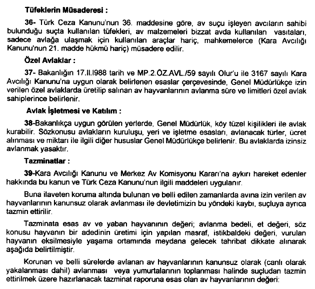 20030617-202.gif (37949 bytes)