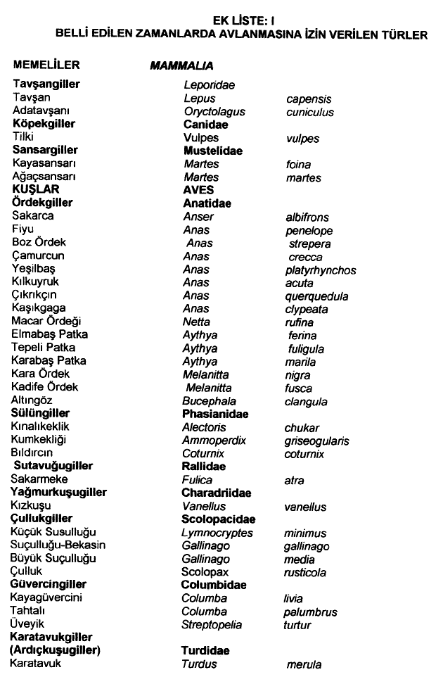20030617-205.gif (35132 bytes)